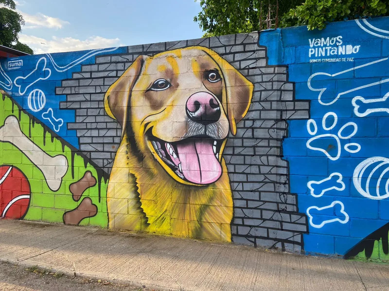 Murales/Mitl Gaxiola/Amor Por Los Animales