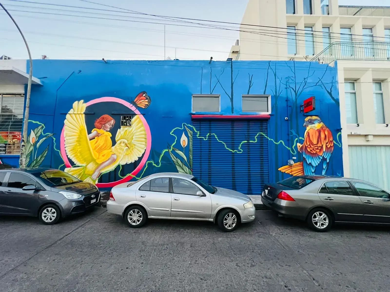 Armonía y paz