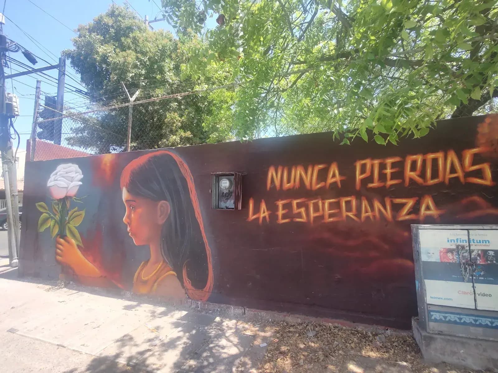 Nunca pierdas la esperanza