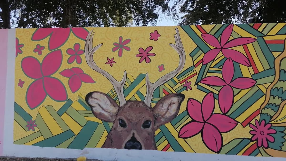 Valle Escondido