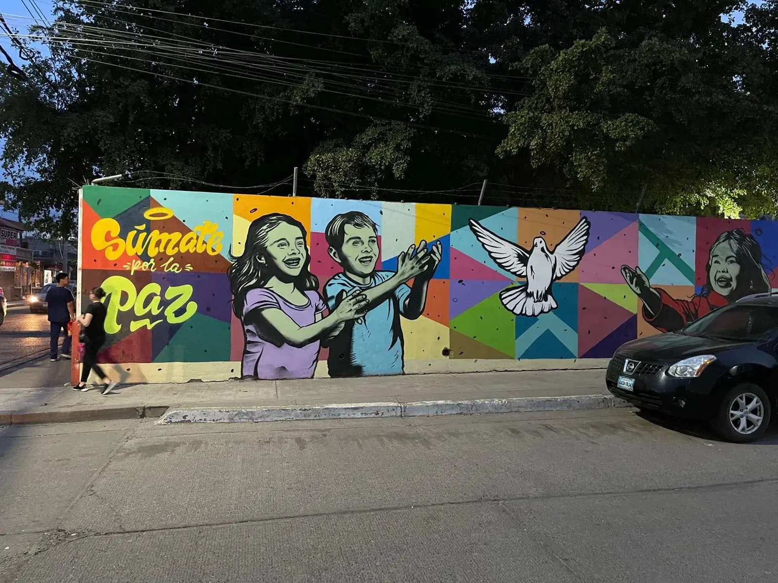 Sumate por la paz