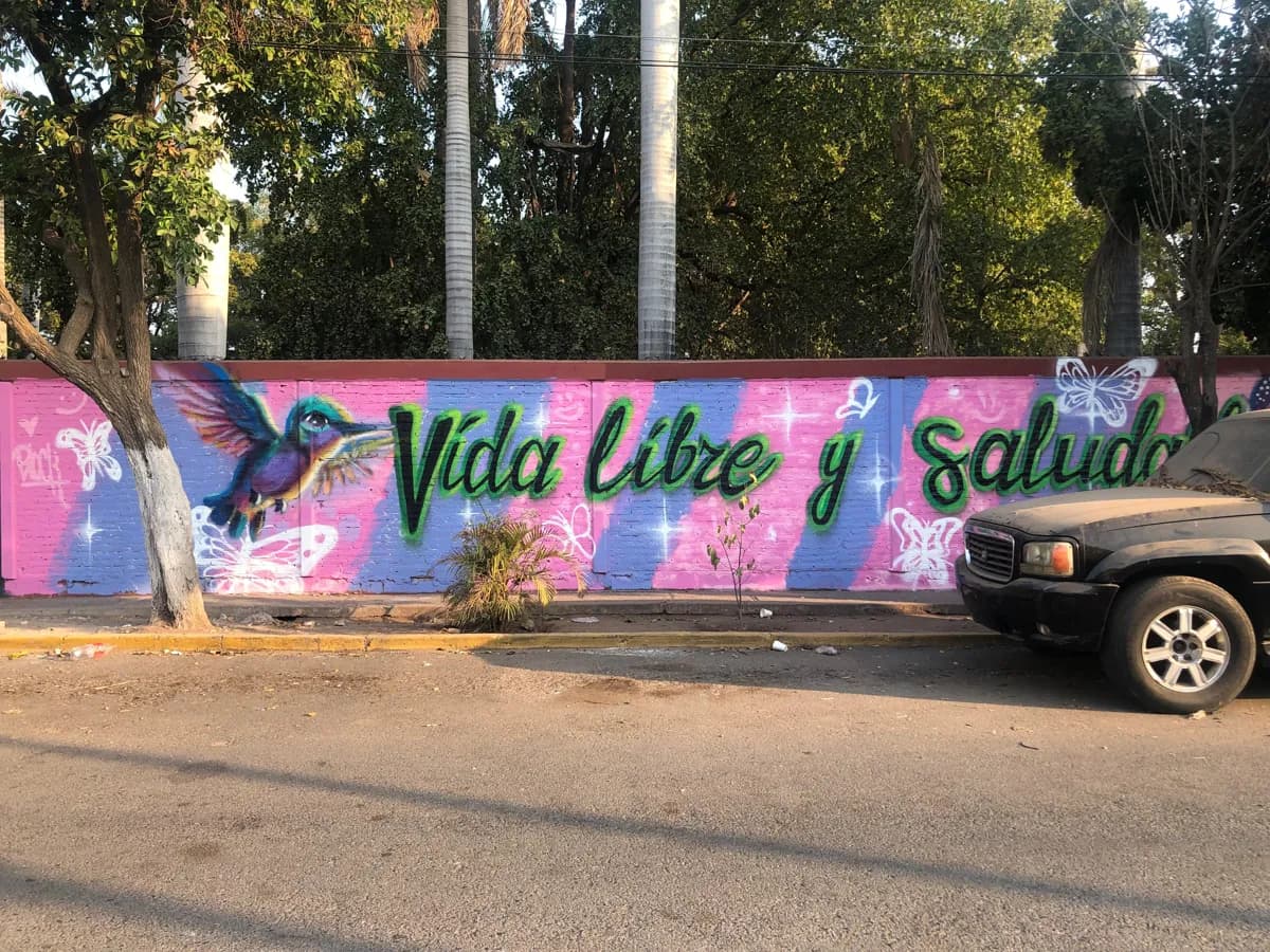 Vida libre y saludable